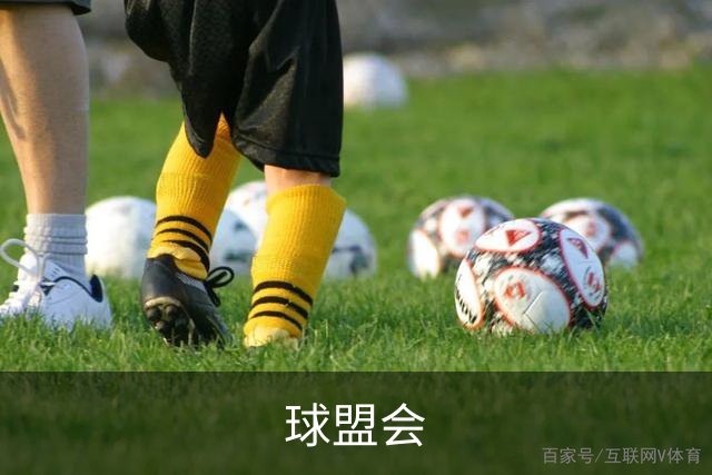 关于球盟会